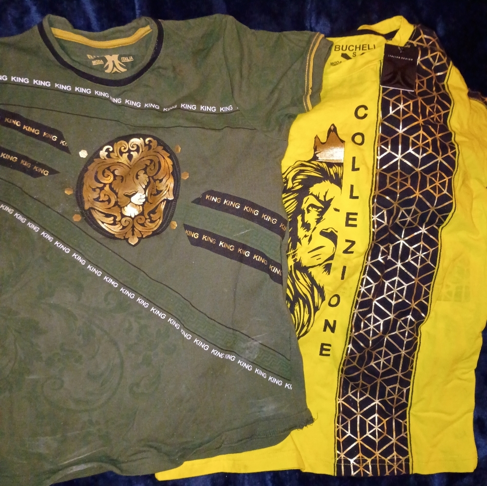 Green and Yellow Lion Graphic Men's Shirt